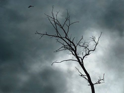 Лечение депрессии